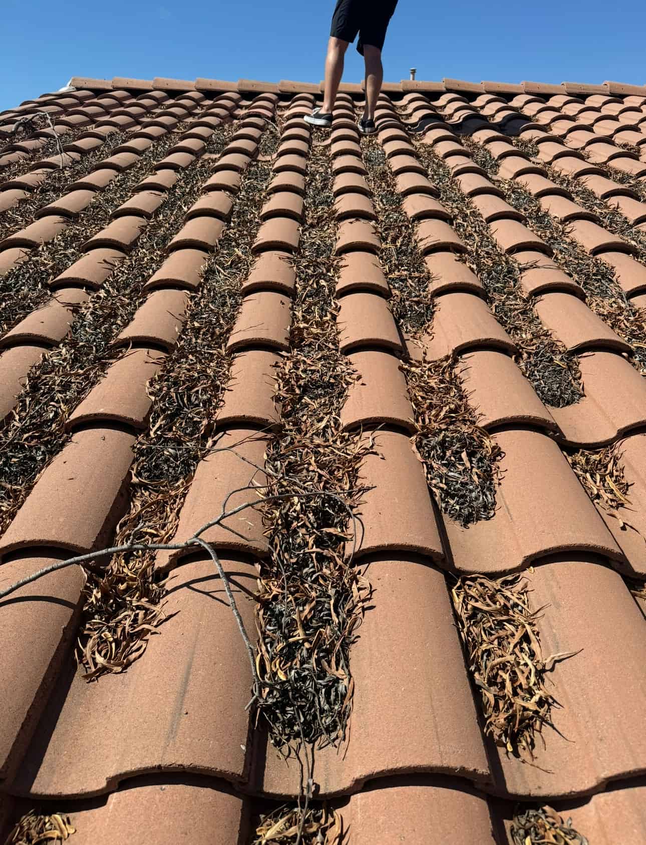 Roof Maintenance image